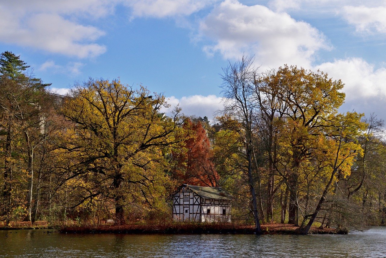 lake, swan house, fall-7585233.jpg